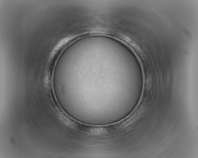 X0000115791454200911131258