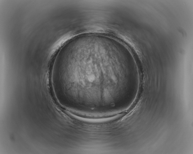 X0000115791455200911131258