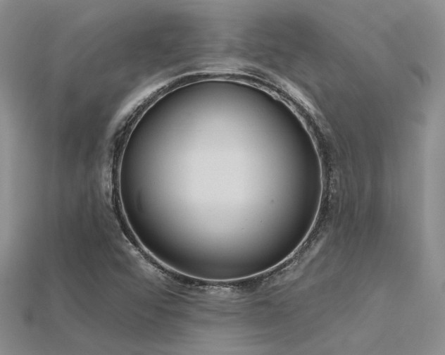 X0000115791456200911131258
