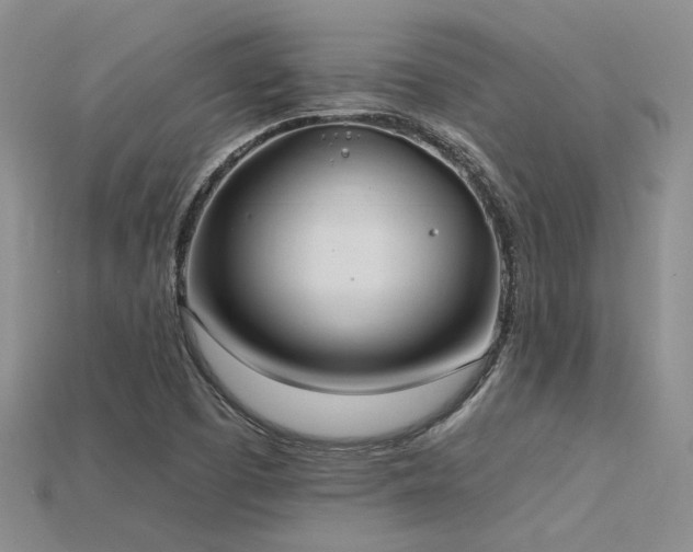 X0000115791457200911131258