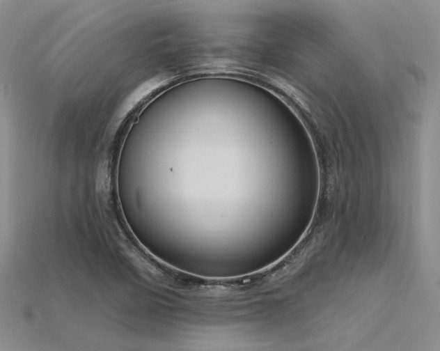X0000115791458200911131258