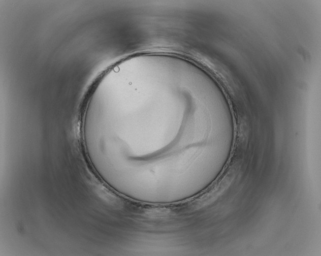 X0000115791462200911131258