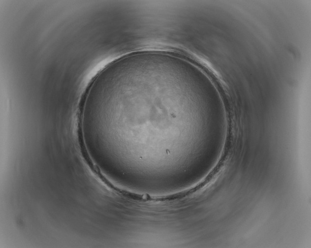 X0000115791463200911131258