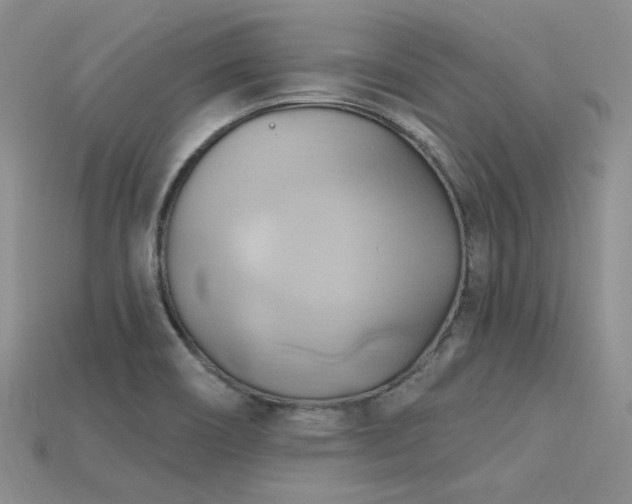 X0000115791466200911131258