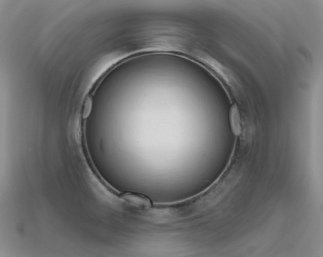 X0000115791468200911131258