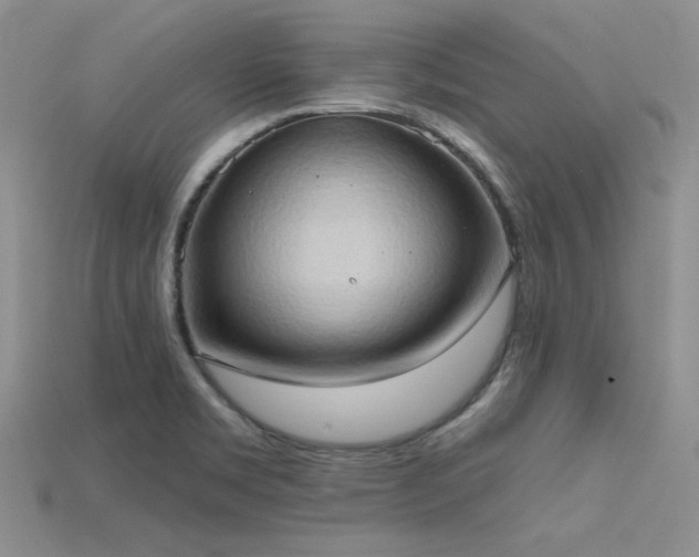 X0000115791469200911131258