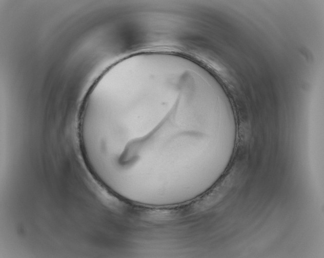X0000115791470200911131258