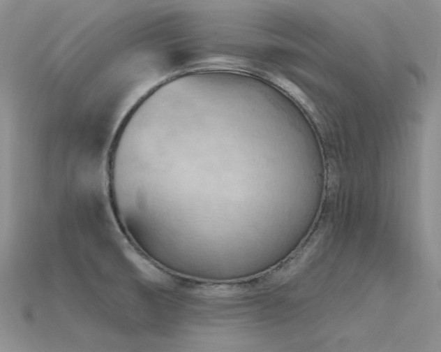 X0000115791474200911131258