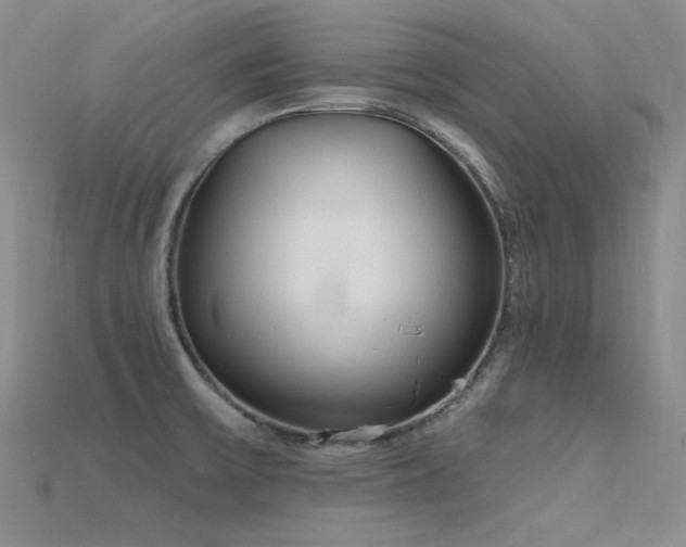 X0000115791475200911131258