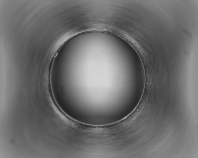 X0000115791479200911131258