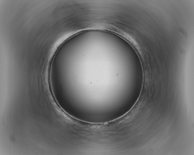 X0000115791480200911131258
