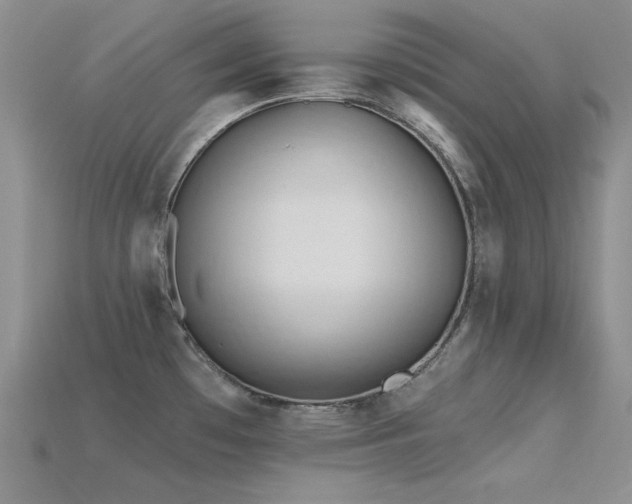 X0000115791481200911131258