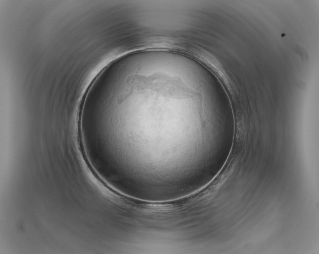 X0000115791483200911131258