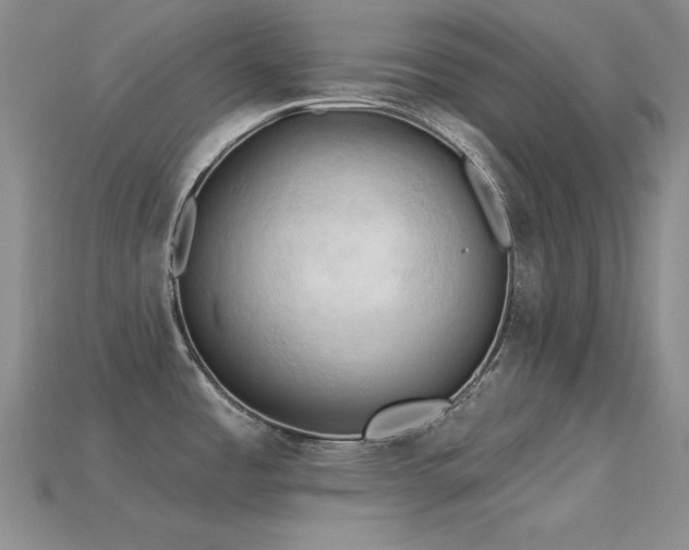 X0000115791485200911131258
