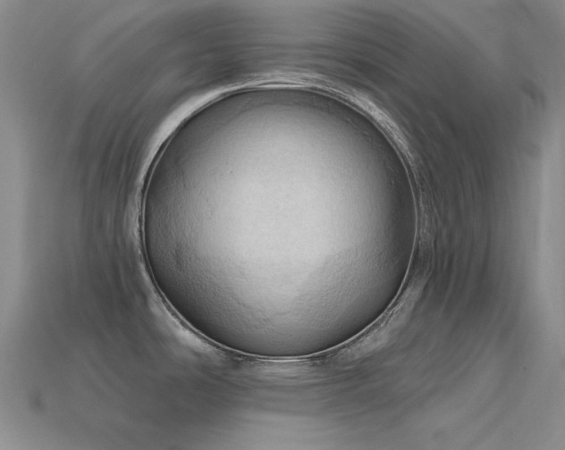 X0000115791486200911131258