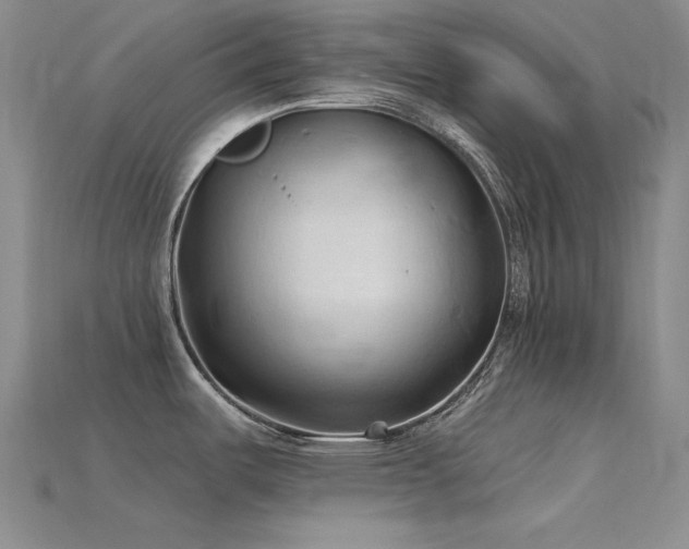 X0000115791487200911131258