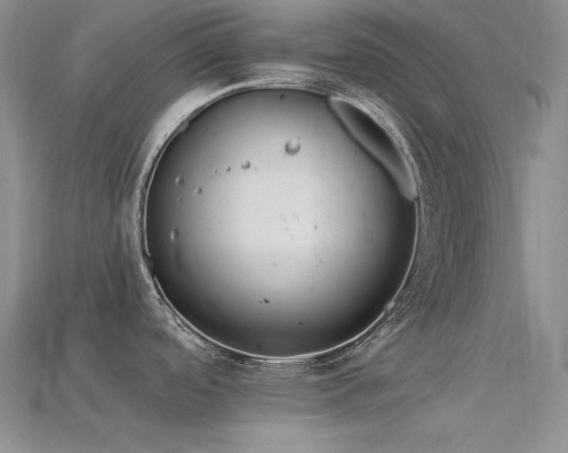 X0000115791488200911131258