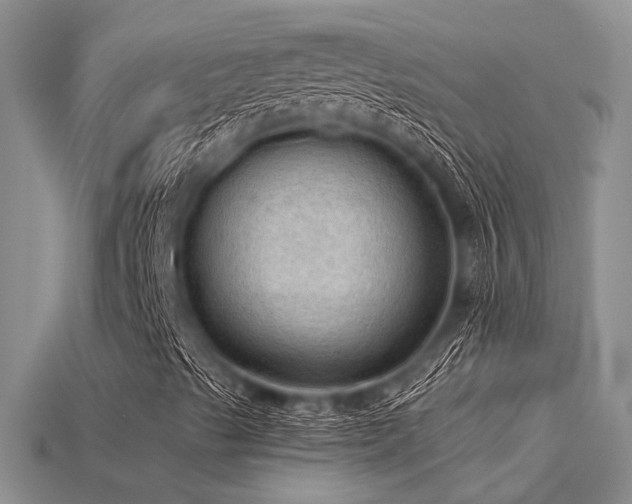 X0000115791489200911131257