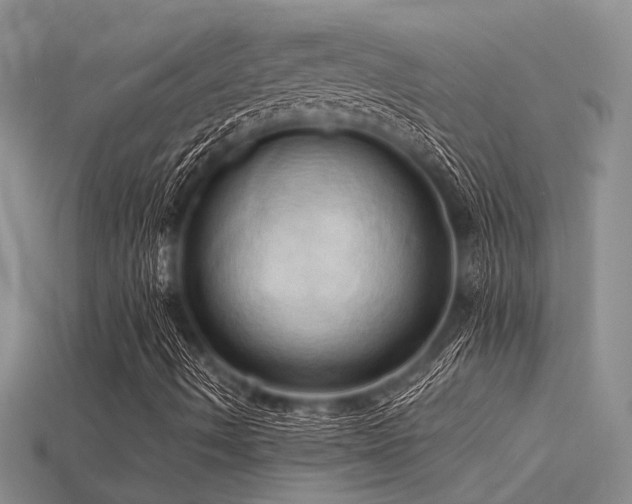 X0000115791490200911131257