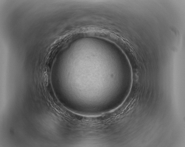 X0000115791493200911131257