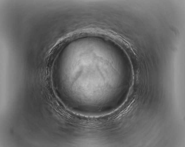 X0000115791494200911131257