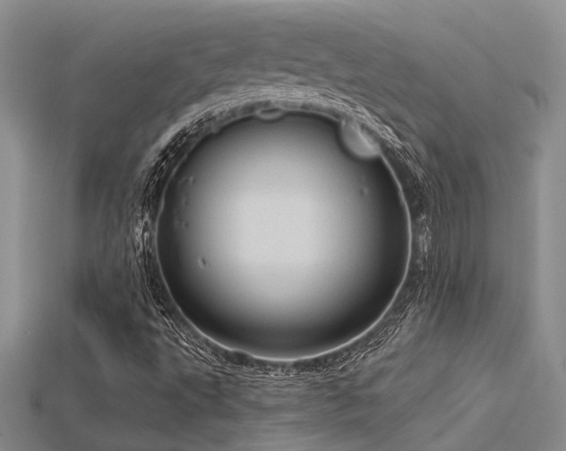 X0000115791495200911131257