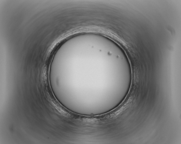 X0000115791498200911131257