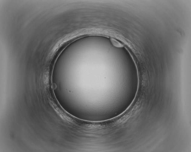 X0000115791499200911131257