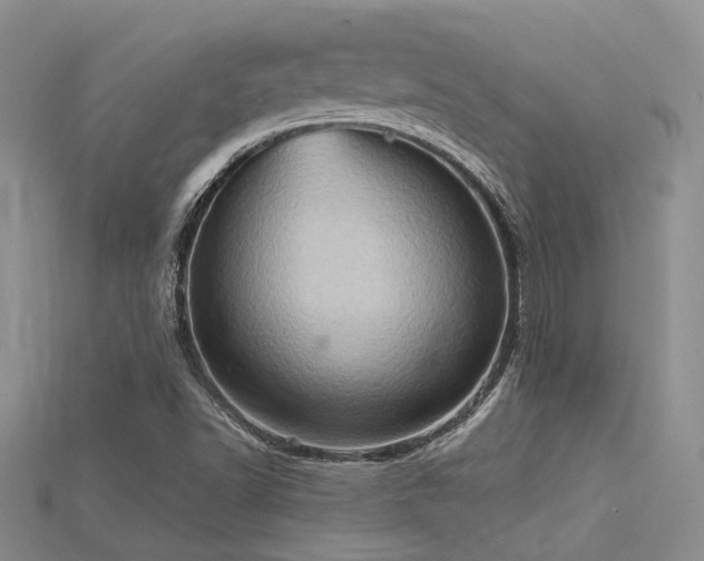 X0000115791502200911131257