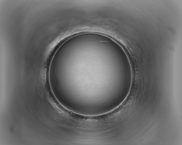 X0000115791503200911131257