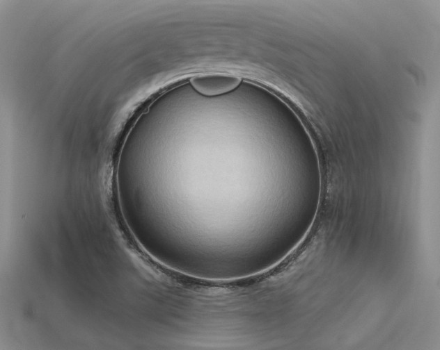X0000115791507200911131257