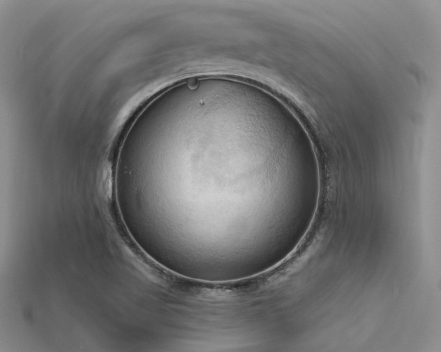 X0000115791509200911131257