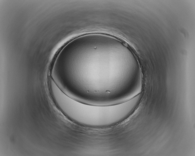X0000115791510200911131257
