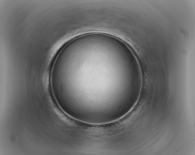 X0000115791511200911131257