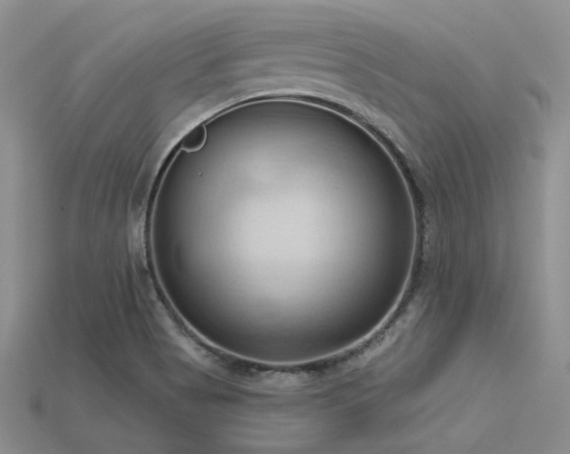 X0000115791513200911131257
