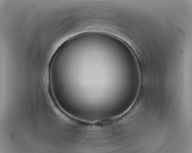 X0000115791515200911131257