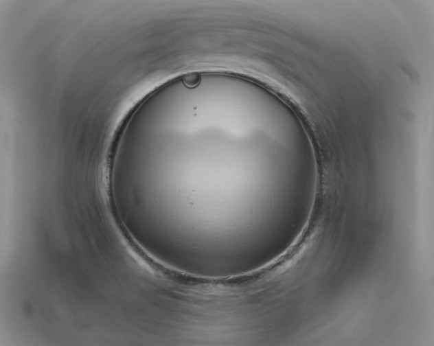 X0000115791517200911131257