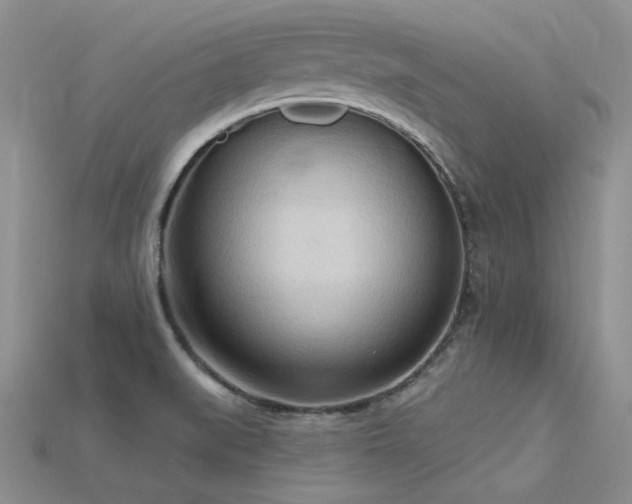 X0000115791519200911131257