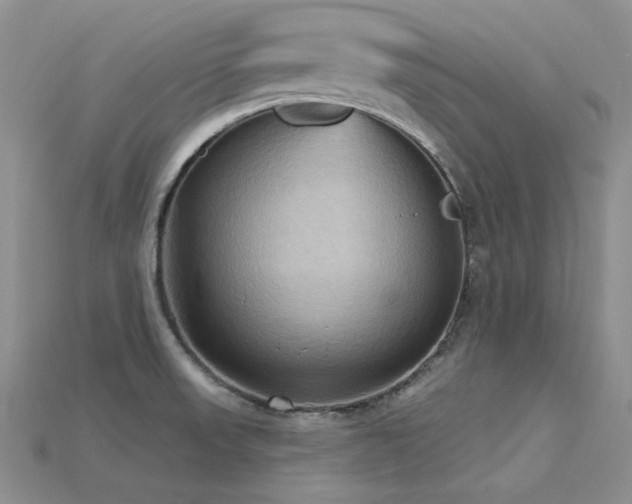 X0000115791523200911131257