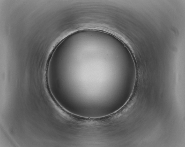 X0000115791525200911131257