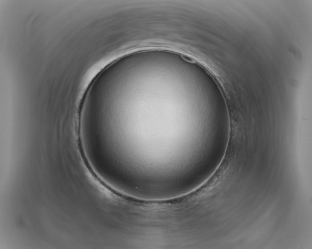X0000115791527200911131257