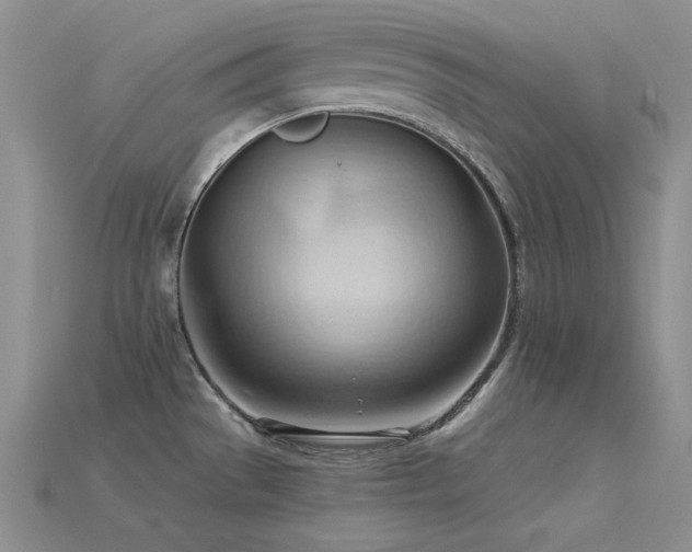 X0000115791529200911131258