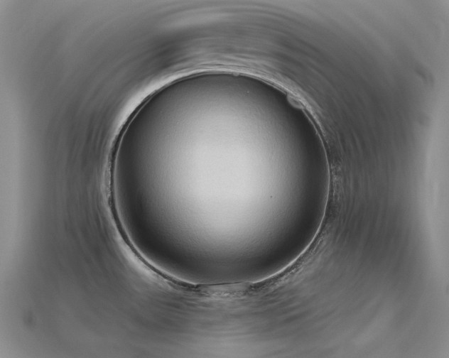 X0000115791531200911131258