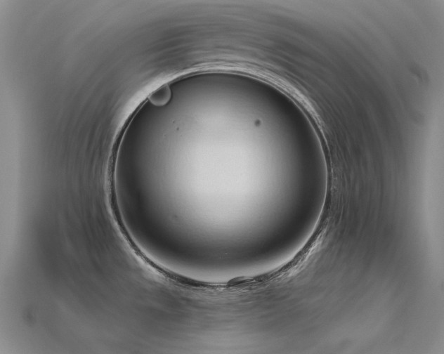X0000115791533200911131258