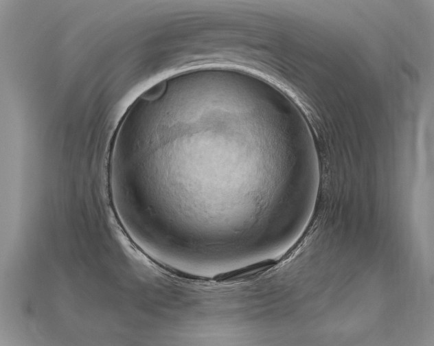 X0000115791534200911131258