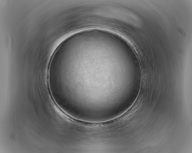 X0000115791535200911131258