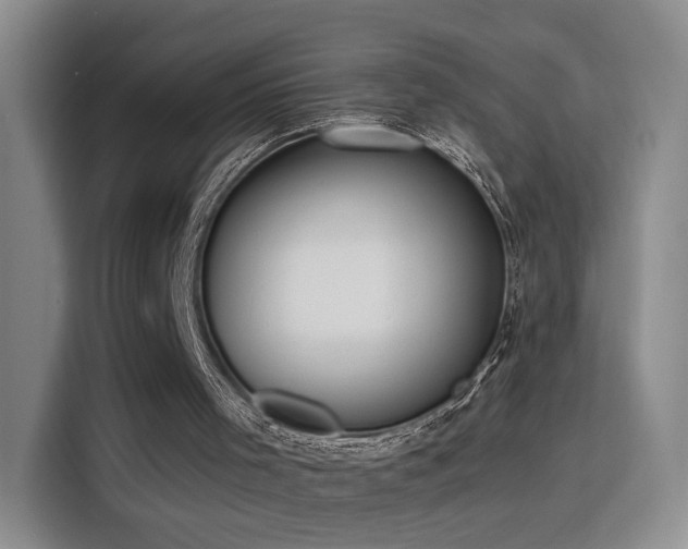 X0000115790001200911201341