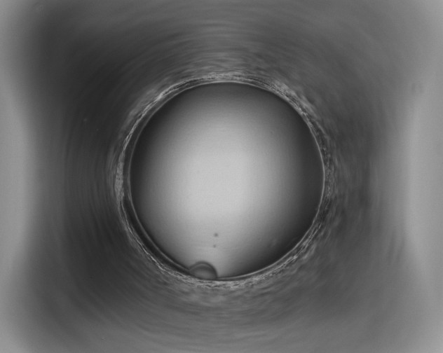 X0000115790002200911201341