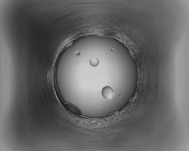 X0000115790003200911201341