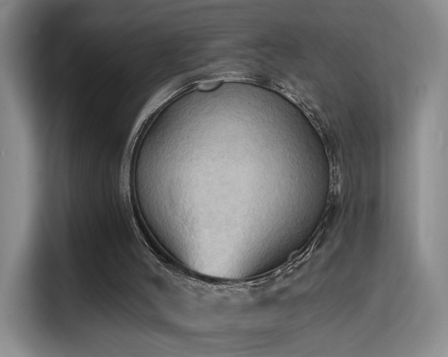 X0000115790004200911201341